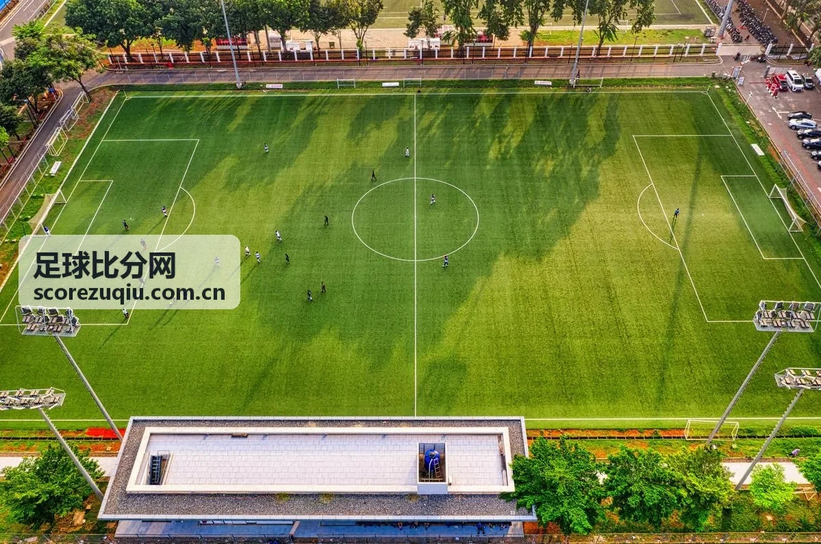 足球比分网 - 西甲国家德比赛前预测分析